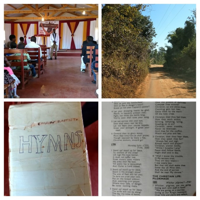 Africa 8 Collage.jpg